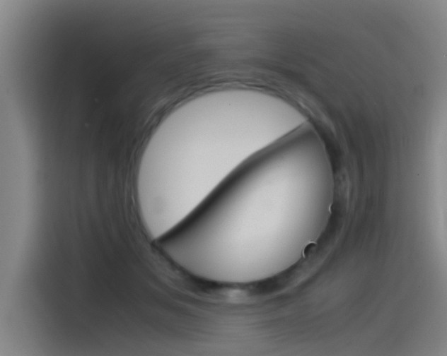 X0000115510509200911061006