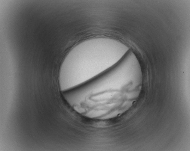 X0000115510513200911061006