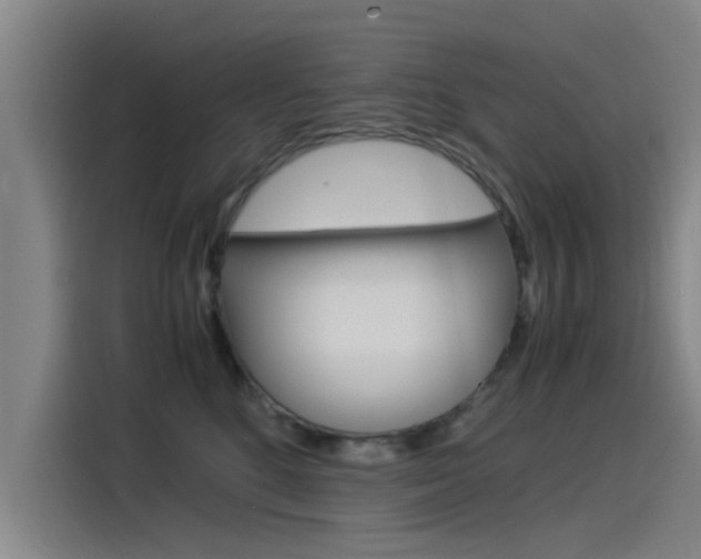 X0000115510520200911061005