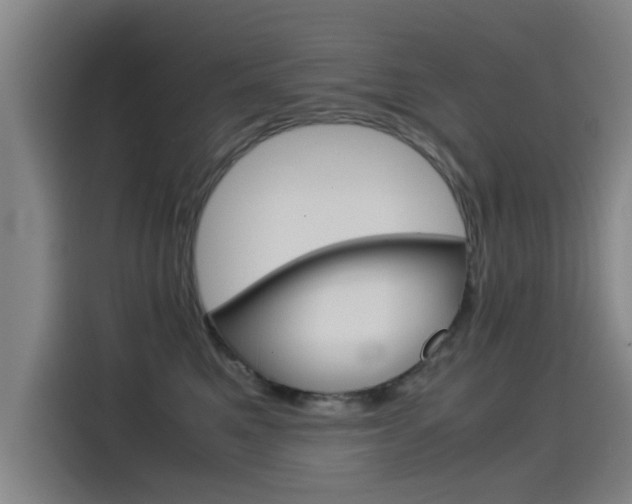 X0000115510521200911061005