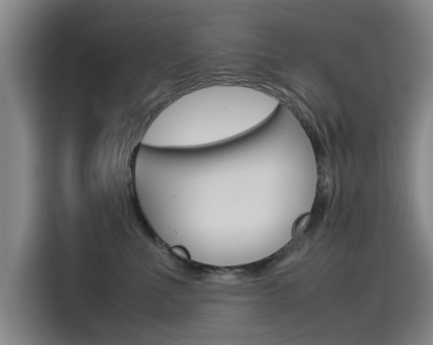 X0000115510523200911061005
