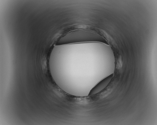X0000115510524200911061005