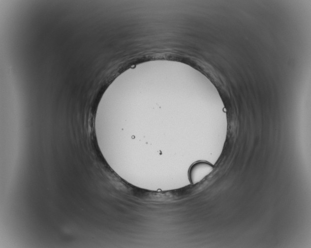 X0000115510525200911061005
