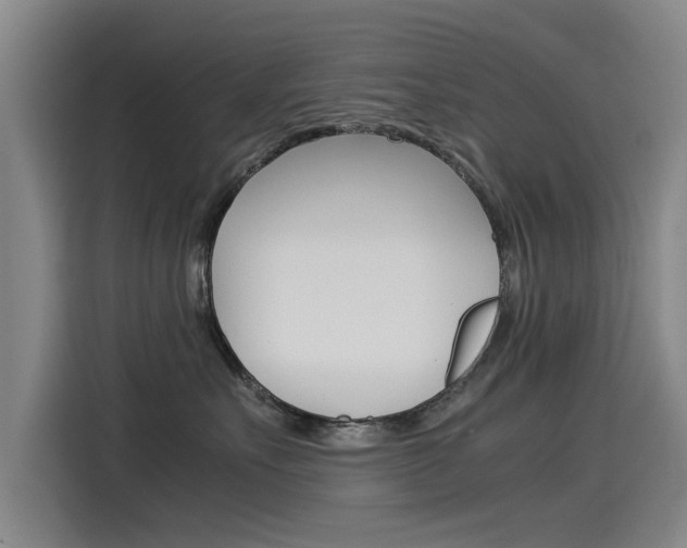 X0000115510527200911061005