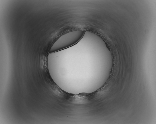 X0000115510528200911061005