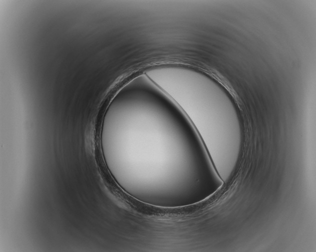 X0000115510530200911061005
