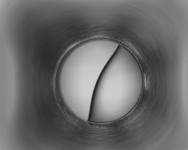 X0000115510531200911061005
