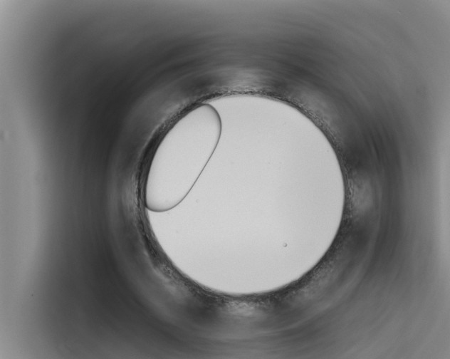 X0000115510534200911061005