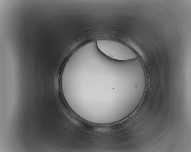 X0000115510537200911061005