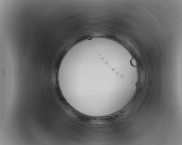 X0000115510545200911061005