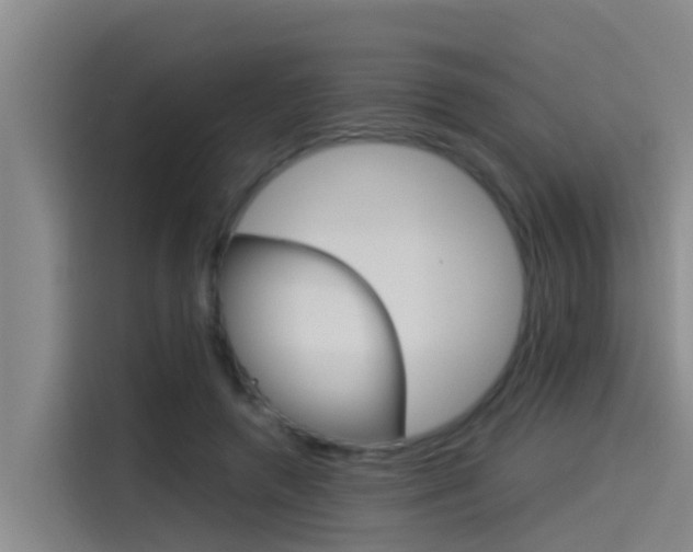 X0000115510546200911061005