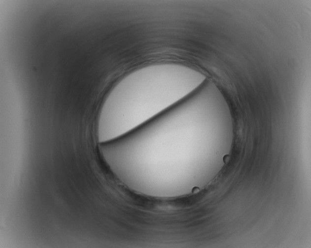 X0000115510547200911061005