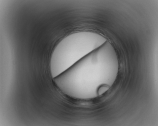 X0000115510555200911061005