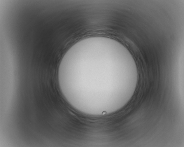 X0000115510558200911061005