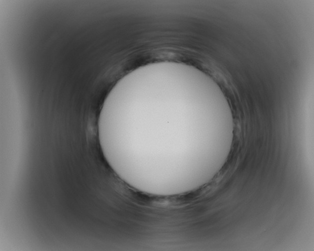 X0000115510561200911061005