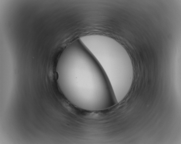 X0000115510566200911061005