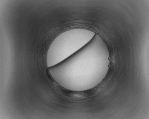 X0000115510567200911061005