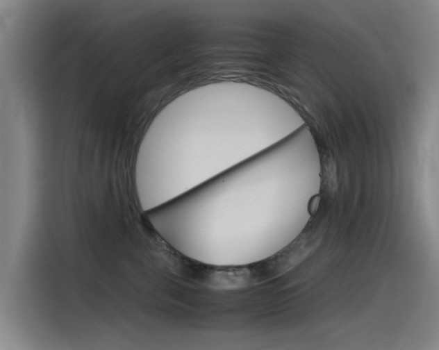 X0000115510571200911061005