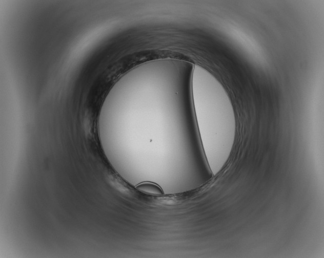 X0000115510574200911061005