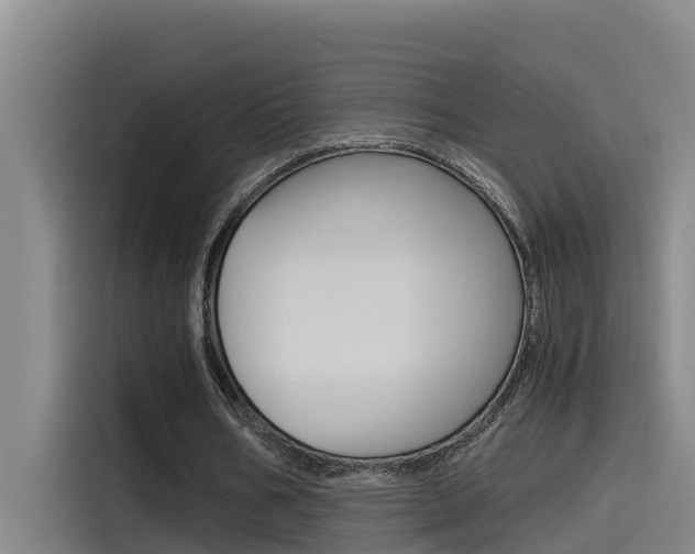 X0000115510578200911061005