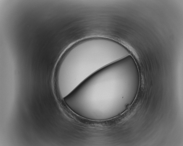 X0000115510580200911061005