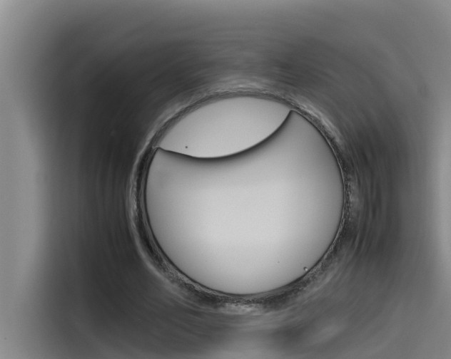 X0000115510582200911061005