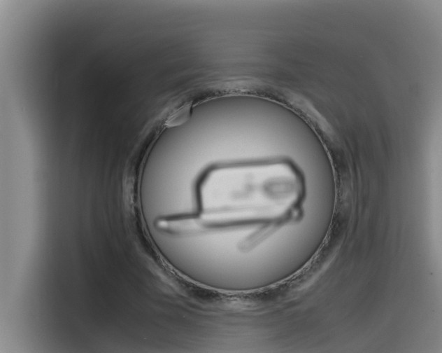 X0000115510585200911061005