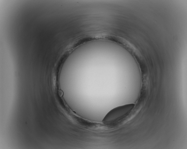 X0000115510589200911061005