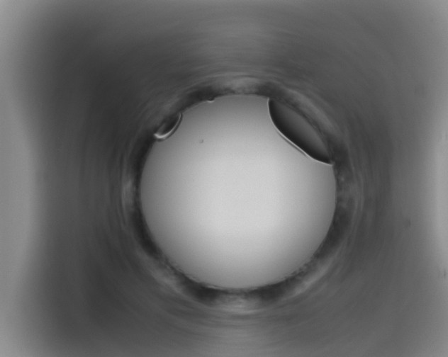 X0000115510597200911061004