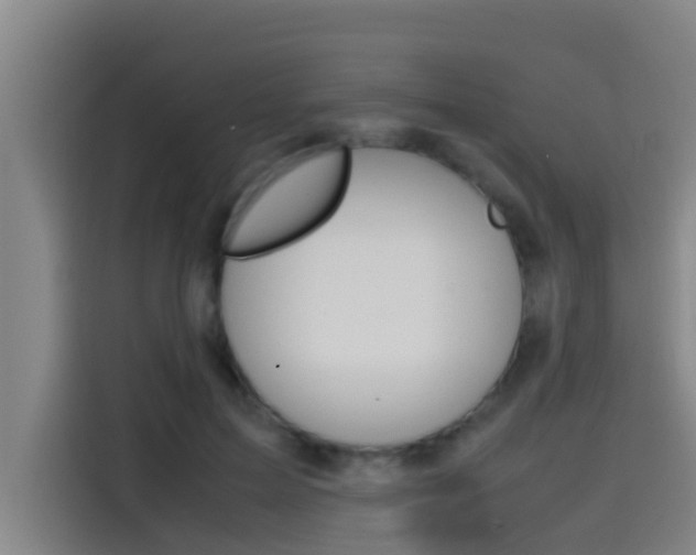 X0000115510599200911061004