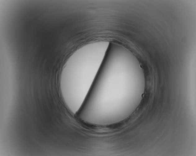 X0000115510605200911061004