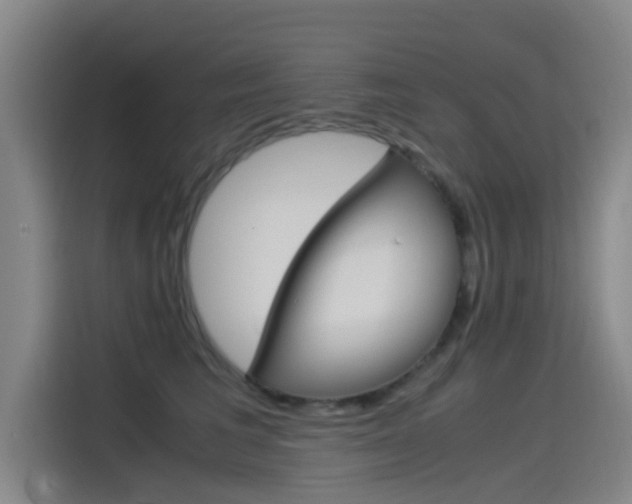 X0000115510613200911061004