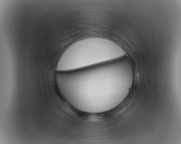 X0000115510616200911061004
