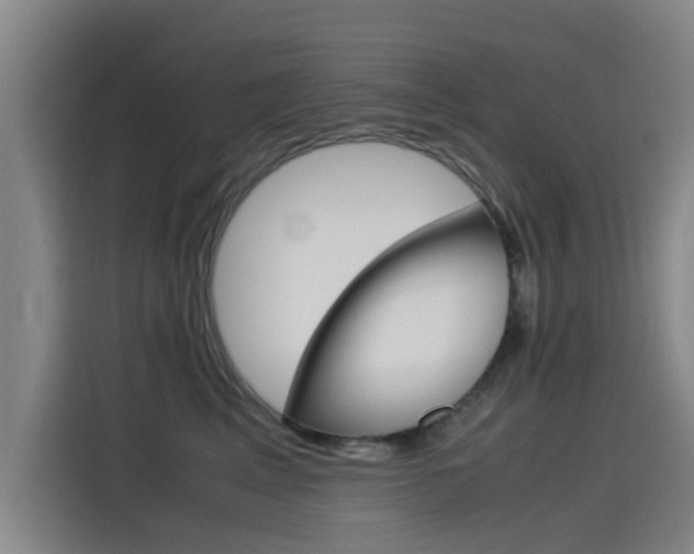 X0000115510617200911061004