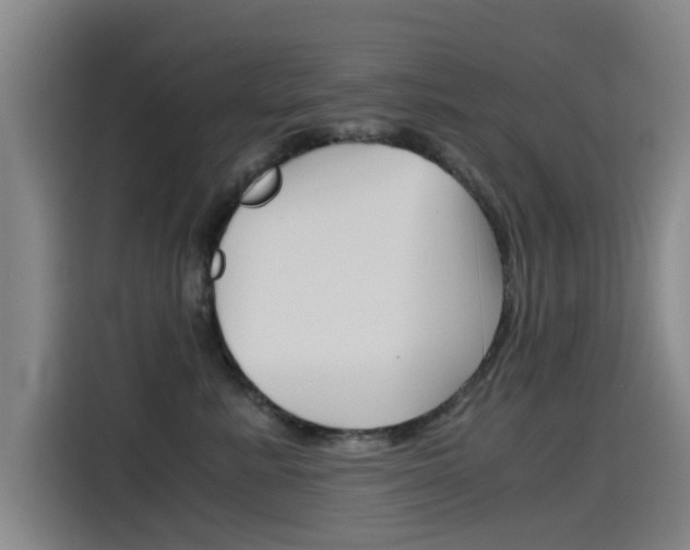 X0000115510619200911061004