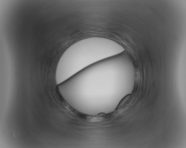 X0000115510621200911061004