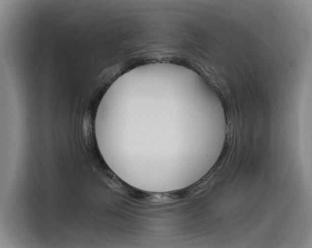 X0000115510623200911061004