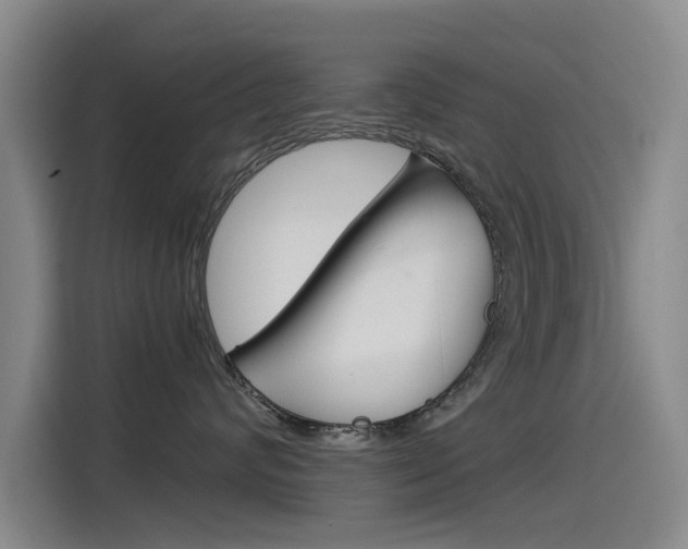 X0000115510624200911061004
