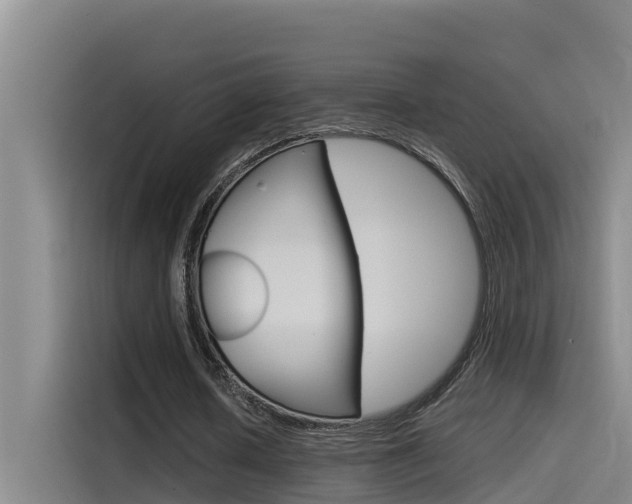 X0000115510626200911061004