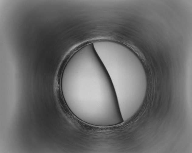 X0000115510628200911061004