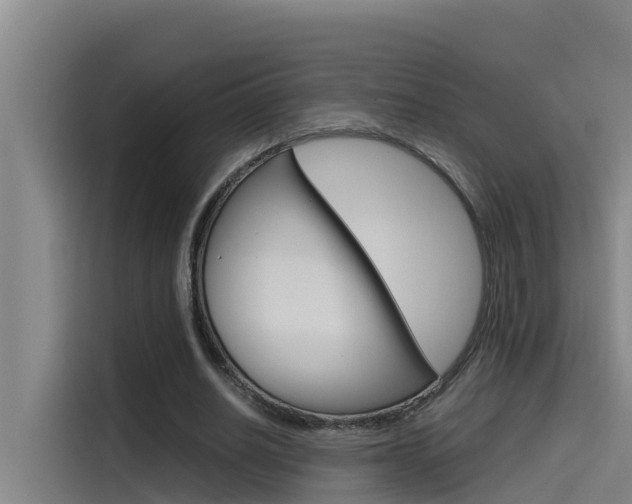 X0000115510630200911061004