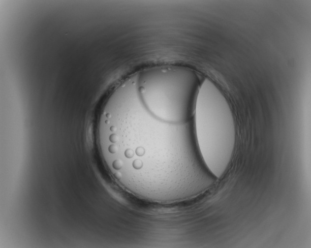 X0000115510638200911061004