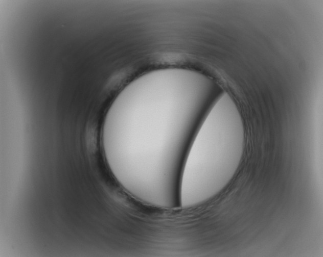 X0000115510640200911061004