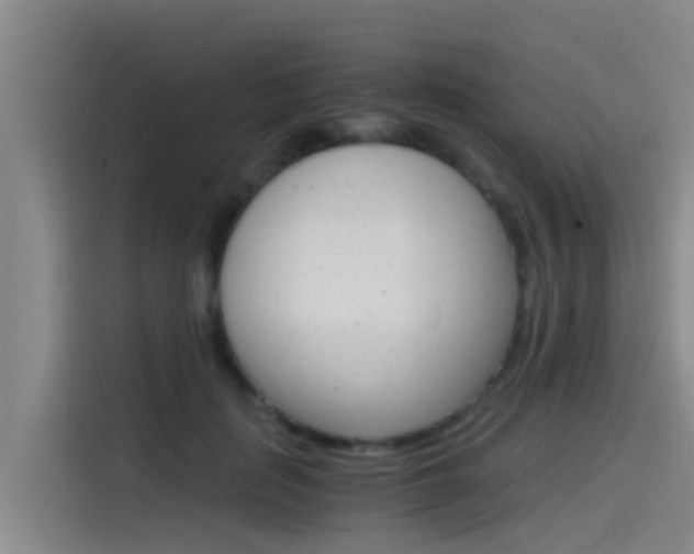 X0000115510651200911061004