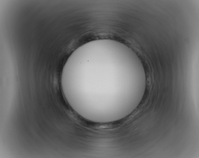 X0000115510662200911061004