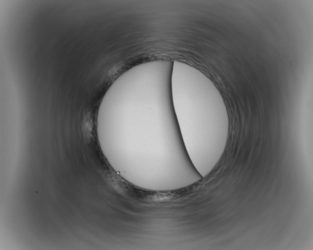 X0000115510668200911061004