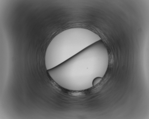 X0000115510669200911061004