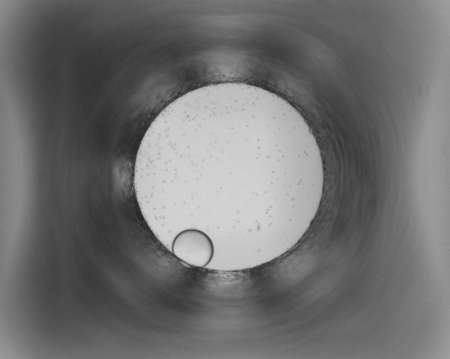 X0000115510672200911061004