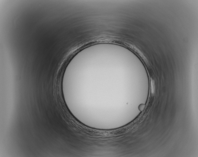 X0000115510675200911061003