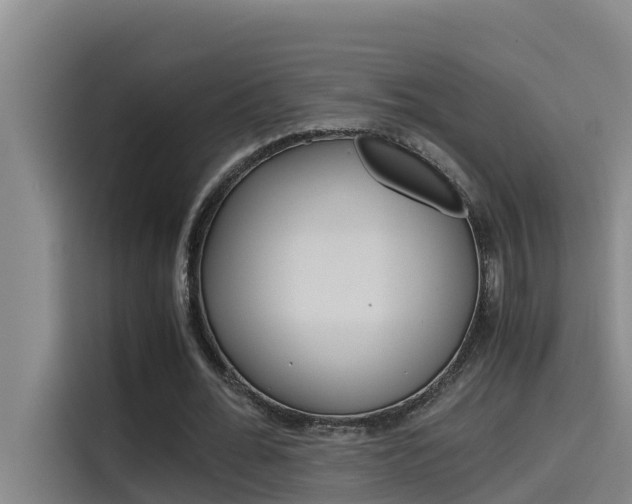 X0000115510676200911061003